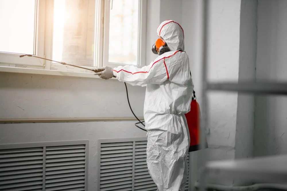 Professional mold remediation services in Boonton, NJ